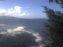 ./images/koeye/fitz-hugh/20241014/fitz-hugh20241014_123002.jpg