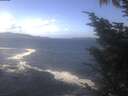 ./images/koeye/fitz-hugh/20241014/fitz-hugh20241014_123501.jpg