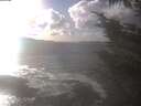 ./images/koeye/fitz-hugh/20241014/fitz-hugh20241014_155001.jpg