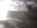 ./images/koeye/fitz-hugh/20241014/fitz-hugh20241014_155502.jpg
