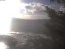 ./images/koeye/fitz-hugh/20241014/fitz-hugh20241014_160002.jpg