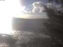./images/koeye/fitz-hugh/20241014/fitz-hugh20241014_160502.jpg