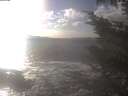 ./images/koeye/fitz-hugh/20241014/fitz-hugh20241014_161002.jpg