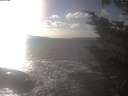 ./images/koeye/fitz-hugh/20241014/fitz-hugh20241014_161502.jpg