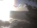 ./images/koeye/fitz-hugh/20241014/fitz-hugh20241014_162502.jpg