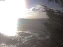 ./images/koeye/fitz-hugh/20241014/fitz-hugh20241014_163002.jpg