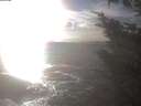 ./images/koeye/fitz-hugh/20241014/fitz-hugh20241014_164002.jpg