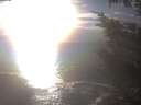 ./images/koeye/fitz-hugh/20241014/fitz-hugh20241014_170502.jpg