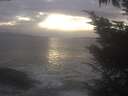 ./images/koeye/fitz-hugh/20241014/fitz-hugh20241014_174501.jpg