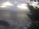 ./images/koeye/fitz-hugh/20241014/fitz-hugh20241014_175001.jpg