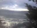 ./images/koeye/fitz-hugh/20241015/fitz-hugh20241015_084002.jpg