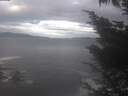 ./images/koeye/fitz-hugh/20241015/fitz-hugh20241015_093002.jpg
