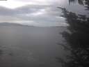 ./images/koeye/fitz-hugh/20241015/fitz-hugh20241015_100501.jpg