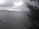 ./images/koeye/fitz-hugh/20241015/fitz-hugh20241015_101001.jpg