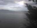 ./images/koeye/fitz-hugh/20241015/fitz-hugh20241015_104001.jpg