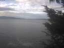 ./images/koeye/fitz-hugh/20241015/fitz-hugh20241015_112502.jpg