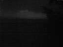 ./images/koeye/fitz-hugh/20241016/fitz-hugh20241016_072002.jpg