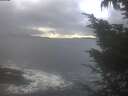 ./images/koeye/fitz-hugh/20241016/fitz-hugh20241016_084502.jpg