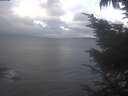 ./images/koeye/fitz-hugh/20241016/fitz-hugh20241016_100502.jpg