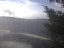 ./images/koeye/fitz-hugh/20241017/fitz-hugh20241017_141502.jpg