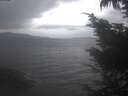 ./images/koeye/fitz-hugh/20241018/fitz-hugh20241018_090002.jpg