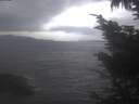 ./images/koeye/fitz-hugh/20241018/fitz-hugh20241018_090502.jpg