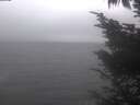 ./images/koeye/fitz-hugh/20241018/fitz-hugh20241018_143501.jpg