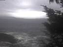 ./images/koeye/fitz-hugh/20241019/fitz-hugh20241019_083001.jpg