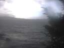 ./images/koeye/fitz-hugh/20241019/fitz-hugh20241019_110002.jpg