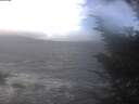 ./images/koeye/fitz-hugh/20241019/fitz-hugh20241019_111002.jpg