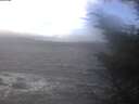 ./images/koeye/fitz-hugh/20241019/fitz-hugh20241019_111502.jpg