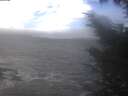 ./images/koeye/fitz-hugh/20241019/fitz-hugh20241019_112002.jpg