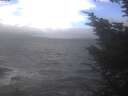 ./images/koeye/fitz-hugh/20241019/fitz-hugh20241019_113001.jpg