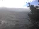 ./images/koeye/fitz-hugh/20241019/fitz-hugh20241019_114001.jpg