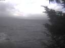 ./images/koeye/fitz-hugh/20241019/fitz-hugh20241019_115001.jpg