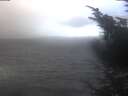 ./images/koeye/fitz-hugh/20241019/fitz-hugh20241019_122001.jpg