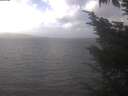 ./images/koeye/fitz-hugh/20241019/fitz-hugh20241019_140502.jpg