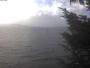 ./images/koeye/fitz-hugh/20241019/fitz-hugh20241019_141502.jpg
