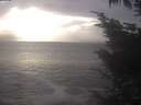 ./images/koeye/fitz-hugh/20241019/fitz-hugh20241019_164502.jpg