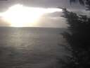 ./images/koeye/fitz-hugh/20241019/fitz-hugh20241019_165002.jpg