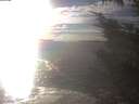 ./images/koeye/fitz-hugh/20241020/fitz-hugh20241020_163002.jpg