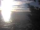 ./images/koeye/fitz-hugh/20241020/fitz-hugh20241020_164001.jpg