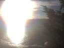 ./images/koeye/fitz-hugh/20241020/fitz-hugh20241020_170501.jpg