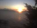 ./images/koeye/fitz-hugh/20241020/fitz-hugh20241020_182002.jpg