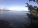 ./images/koeye/fitz-hugh/20241021/fitz-hugh20241021_105502.jpg