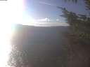 ./images/koeye/fitz-hugh/20241021/fitz-hugh20241021_153501.jpg