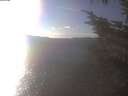 ./images/koeye/fitz-hugh/20241021/fitz-hugh20241021_160002.jpg