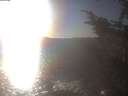 ./images/koeye/fitz-hugh/20241021/fitz-hugh20241021_164502.jpg