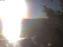 ./images/koeye/fitz-hugh/20241021/fitz-hugh20241021_165002.jpg