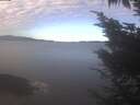 ./images/koeye/fitz-hugh/20241022/fitz-hugh20241022_104001.jpg